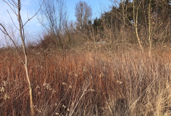 Działka na sprzedaż w Nieporęt Rembelszczyzna Jana Kazimierza o powierzchni 1200 mkw