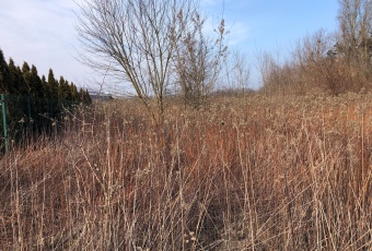 Działka na sprzedaż w Nieporęt Rembelszczyzna Jana Kazimierza o powierzchni 1200 mkw