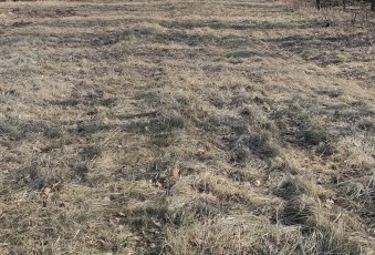 Działka na sprzedaż w Rakszawa Węgliska  o powierzchni 4000 mkw