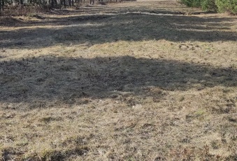 Działka na sprzedaż w Rakszawa Węgliska  o powierzchni 4000 mkw