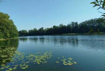 Dom na sprzedaż w Gniew   o powierzchni 1075 mkw