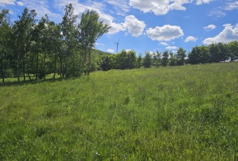 Dom na sprzedaż w Jasło  Wolica o powierzchni 110 mkw