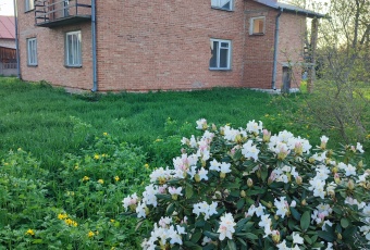 Sprzedam dom Sarzyna koło Leżajska OKAZJA 