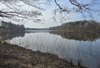 Działka w Borkowie (83-330), 100m od jeziora
