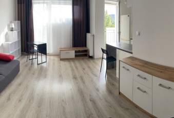 Mieszkanie na wynajem w Poznań Stare Miasto Hawelańska  o powierzchni 29 mkw