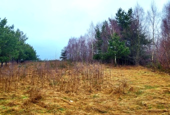 Działka na sprzedaż w Wejherowo Wejherowo Cezarego Klimka o powierzchni 3175 mkw