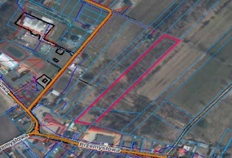 Działka w centrum Grabowa nad Pilicą ( 11.665 m2)