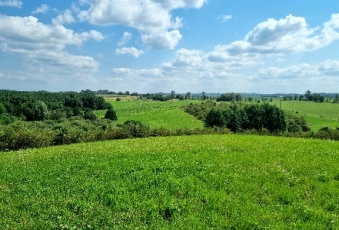Działka na sprzedaż w Stare Juchy Łaśmiady  o powierzchni 99000 mkw