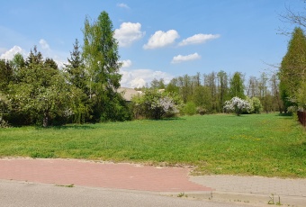 Działka siedliskowa 