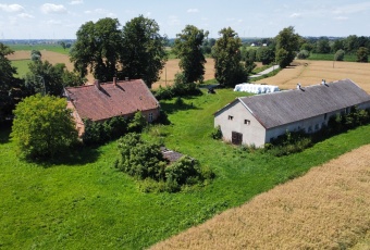 Siedlisko na żuławach elbląskich