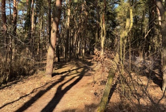 Działka na sprzedaż w Puszczykowo Puszczykówko Czarna  o powierzchni 2392 mkw