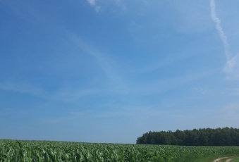 Działka budowlana na sprzedaż bez pośredników 800m