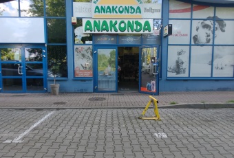 Wynajem lokalu usługowego w obrębie Psiego Pola