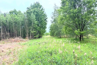Działka budowlana Sułkowice gmina Chynów