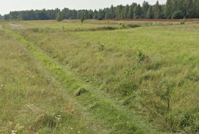 Działka na sprzedaż w Rusinów  Brogowa o powierzchni 11604 mkw