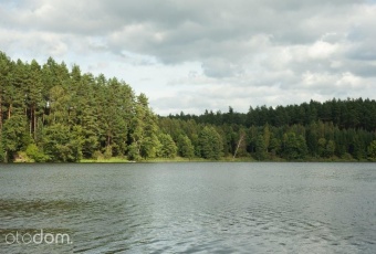 Działki budowlane w lesie na wodą warmińsko-maz