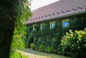 Sprzedam Dom w przepięknej w malowniczej Okolicy!