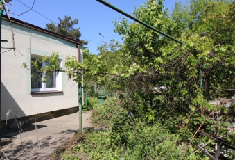 Dom Wołomin 60m2 super lokalizacja.
