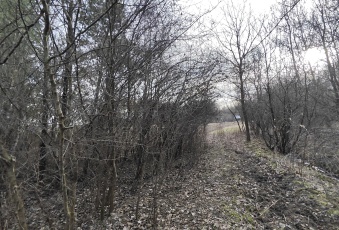 Działka na sprzedaż w Olesno Wielopole  o powierzchni 3000 mkw