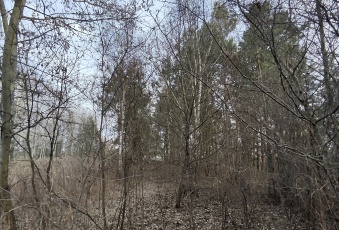 Działka na sprzedaż w Olesno Wielopole  o powierzchni 3000 mkw