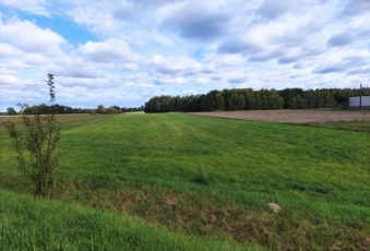 Działka na sprzedaż w Pokrzywnica Murowanka  o powierzchni 1300 mkw