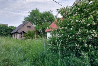 Nieruchomość z siedliskiem