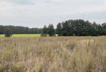 Piękna działka na wymarzony dom pod Poznaniem