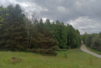 Działka na sprzedaż w Górzno   o powierzchni 15900 mkw