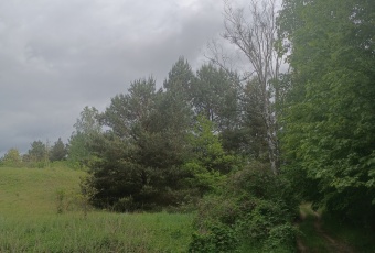 Działka na sprzedaż w Górzno   o powierzchni 15900 mkw