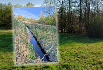 Bliski kontakt z naturą i szybki dojazd do W-wa