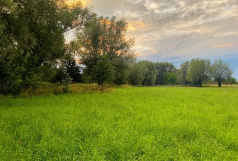 Nieruchomość 16 650 m2 działki budowlane i rolna 