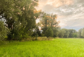 Działka na sprzedaż w Czosnów Cząstków Mazowiecki  o powierzchni 16650 mkw
