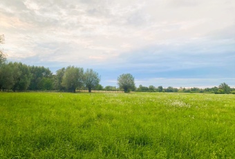 Działka na sprzedaż w Czosnów Cząstków Mazowiecki  o powierzchni 16650 mkw