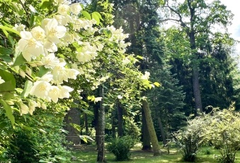 Działka na sprzedaż w Piaseczno  Dębowa 1 o powierzchni 3001 mkw