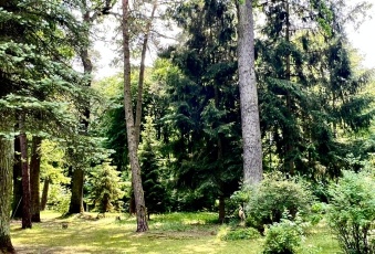 Działka na sprzedaż w Piaseczno  Dębowa 1 o powierzchni 3001 mkw