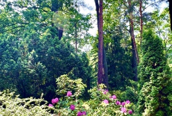 Działka na sprzedaż w Piaseczno  Dębowa 1 o powierzchni 3001 mkw