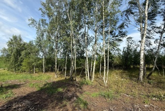 DZIAŁKI BIELKÓWKO/STRASZYN