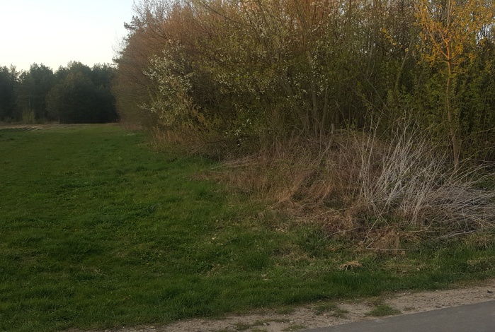 Działka na sprzedaż w Chotcza  Siekierka Nowa 14 o powierzchni 3100 mkw