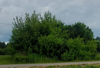 Działka na sprzedaż w Chotcza  Siekierka Nowa 14 o powierzchni 3100 mkw