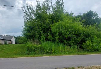 Działka na sprzedaż w Chotcza  Siekierka Nowa 14 o powierzchni 3100 mkw