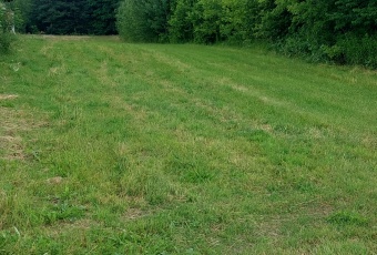 Działka na sprzedaż w Chotcza  Siekierka Nowa 14 o powierzchni 3100 mkw