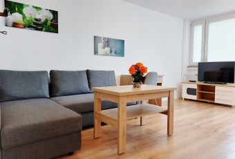 Mieszkanie na wynajem w Ząbkowice Śląskie  osiedle XX lecia 33 o powierzchni 36 mkw