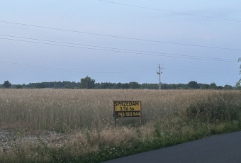 Sprzedam ziemię rolną 