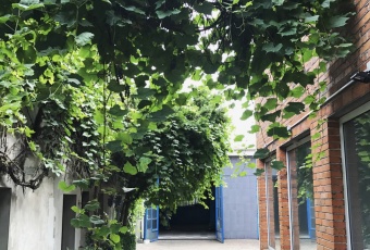 Komercja na wynajem w Kalisz Stare Miasto  o powierzchni 1000 mkw