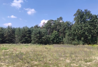 Działka budowlana przylesie z waunkami zabudowy!!!