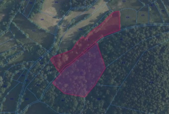 Działka 50a oraz las 75a