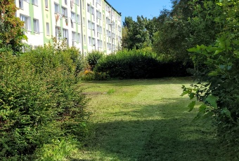 Mieszkanie 41m2 blisko parku Reagana na Przymorzu 