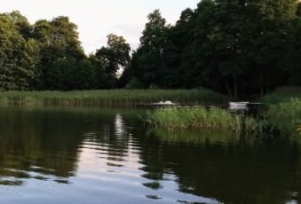 Działka NAD. JEZIOREM, dostęp, pomost 