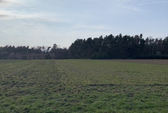 Działki rolne w Pątnowie Legnickim