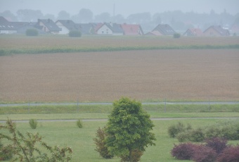 Grunt inwestycy Konarzewo 19498 m2 -bezpośrednio